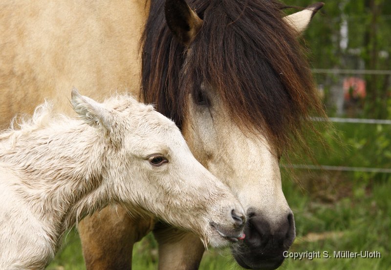 Hjoerdis 50 Min alt (2).JPG